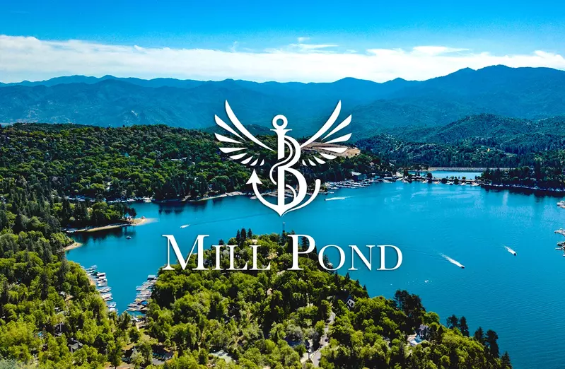 Mill Pond