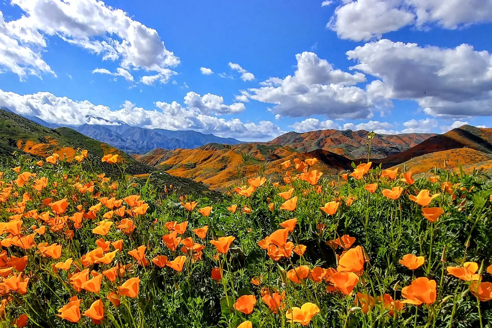 California