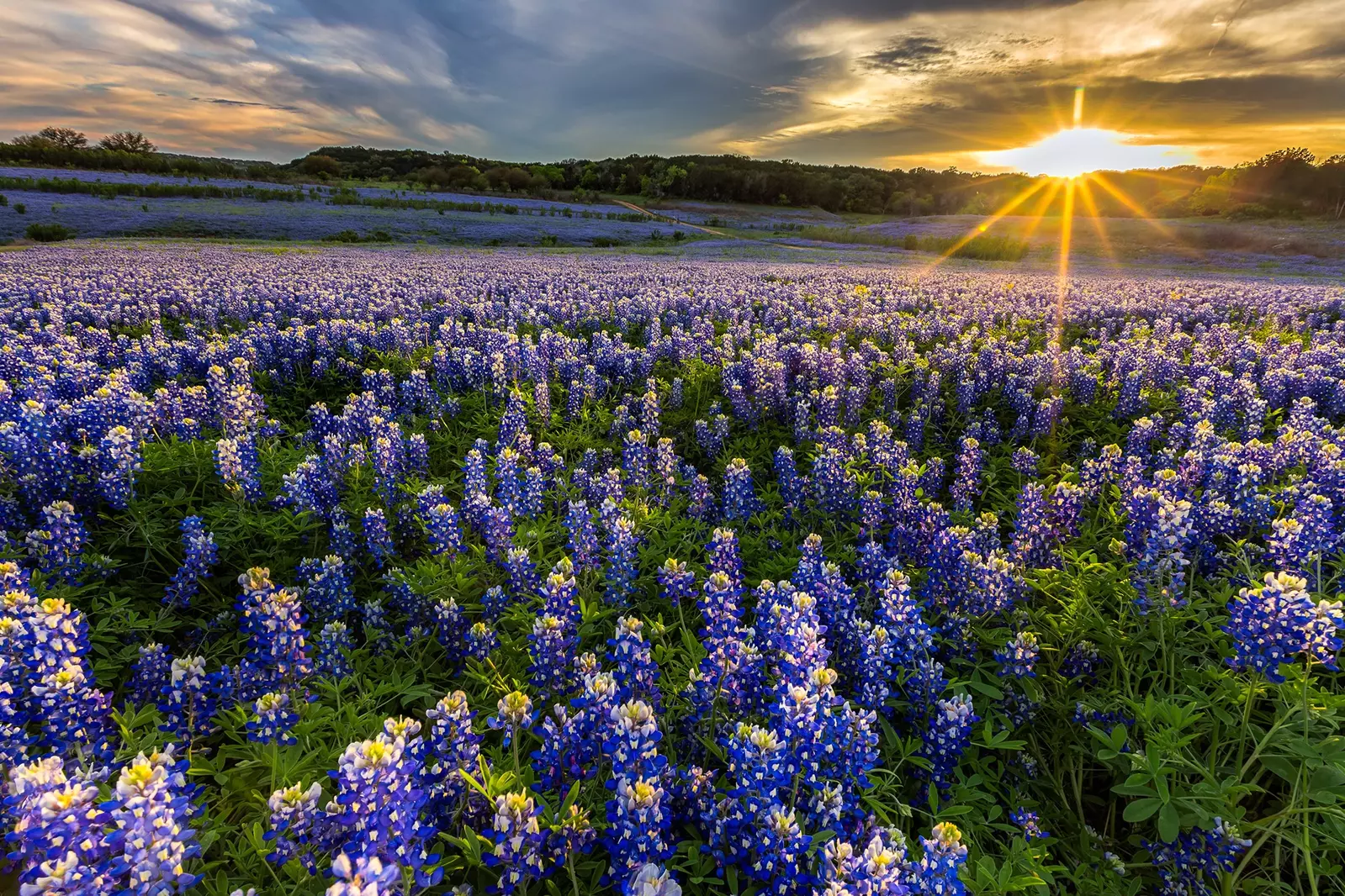 Texas