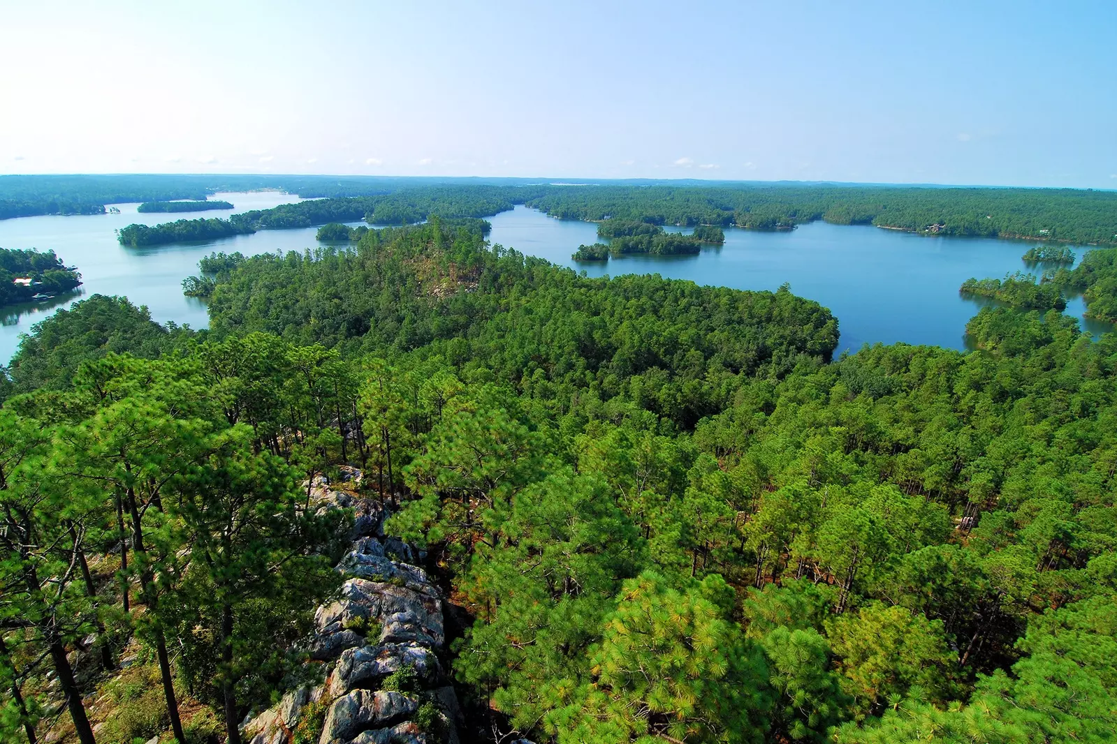 Virginia