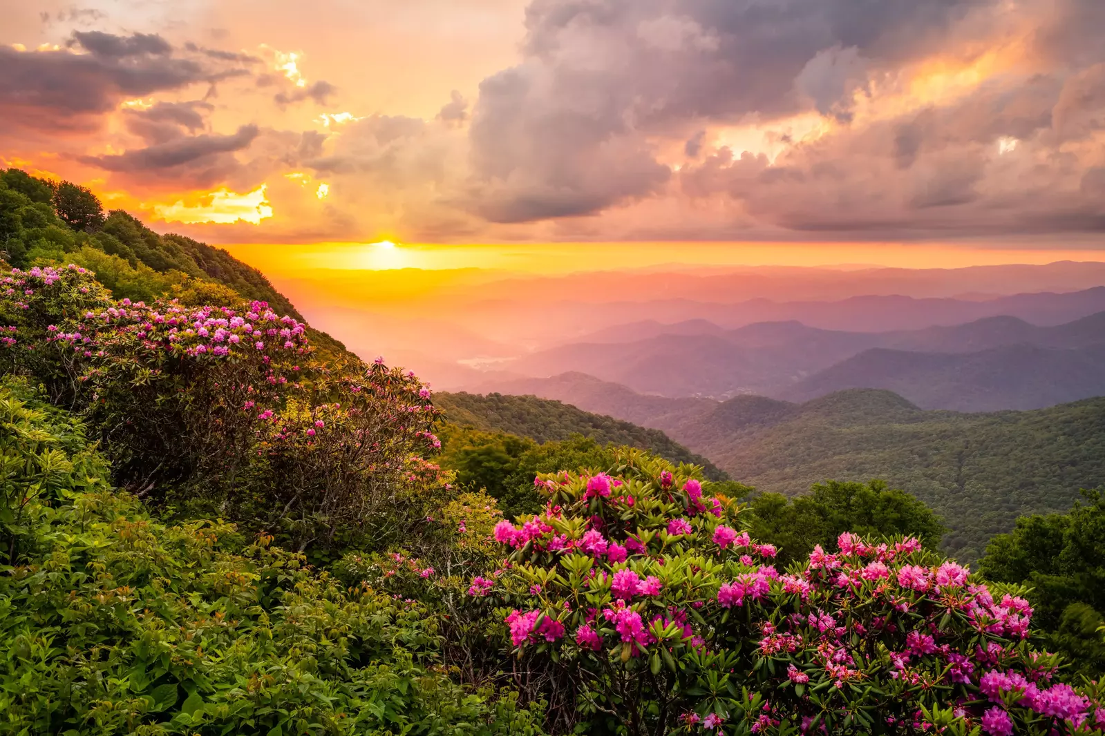 North Carolina