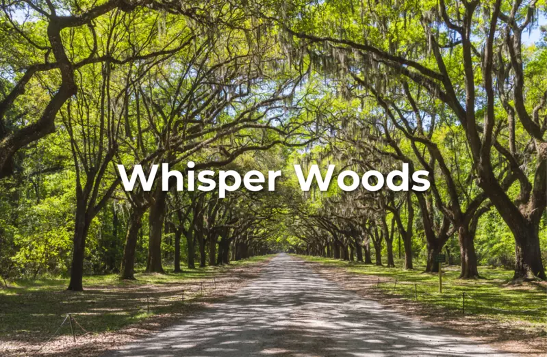 Whisper Woods
