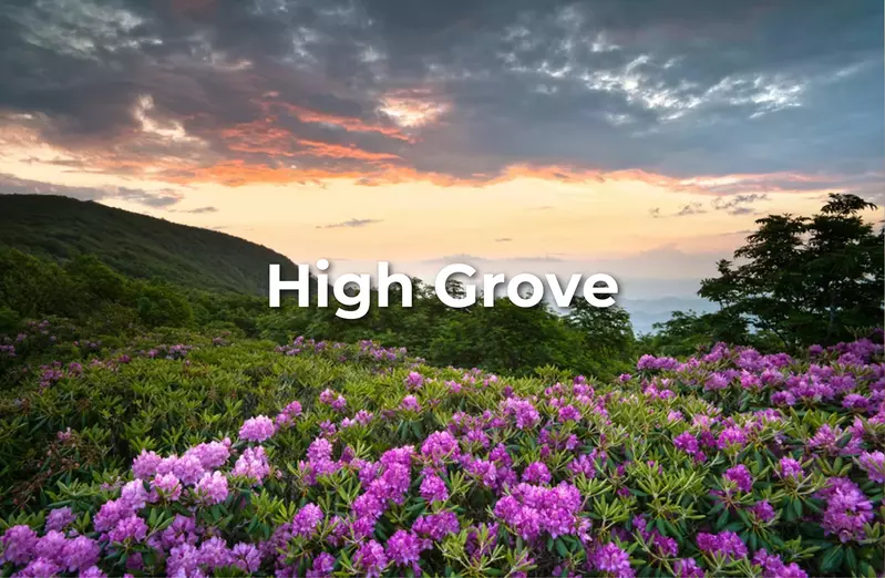 High Grove