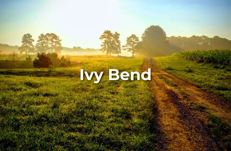 Ivy Bend