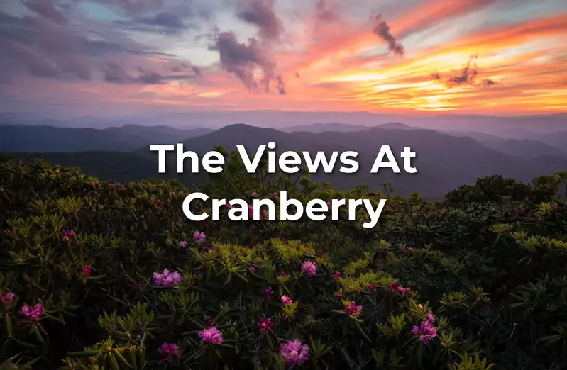 The Views at Cranberry
