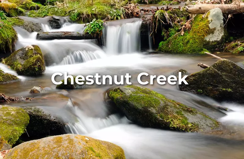 Chestnut Creek