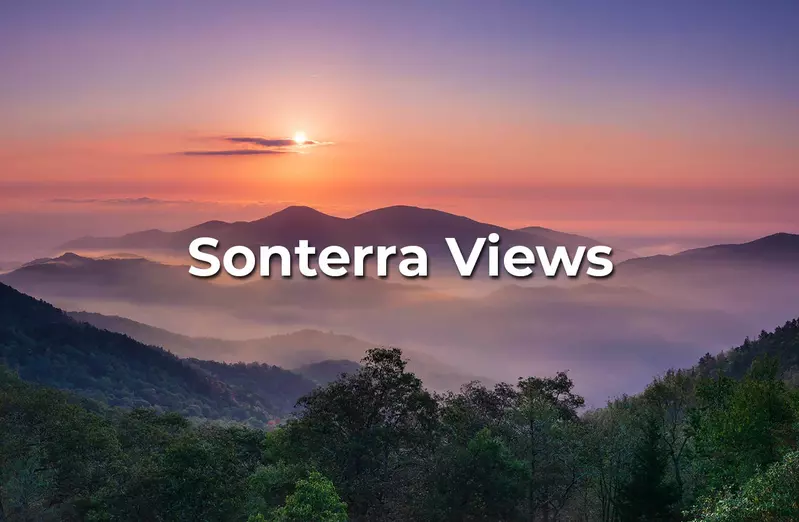 Sonterra Views