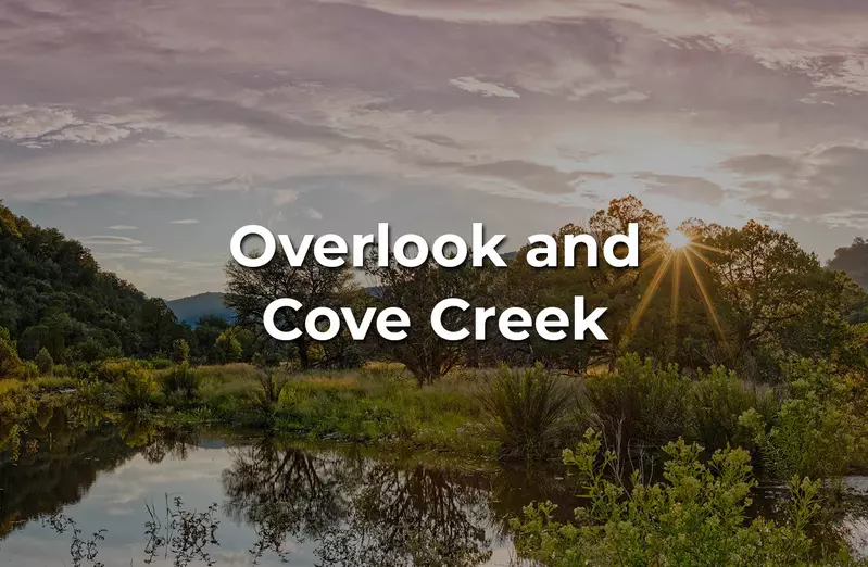 Overlook and Cove Creek
