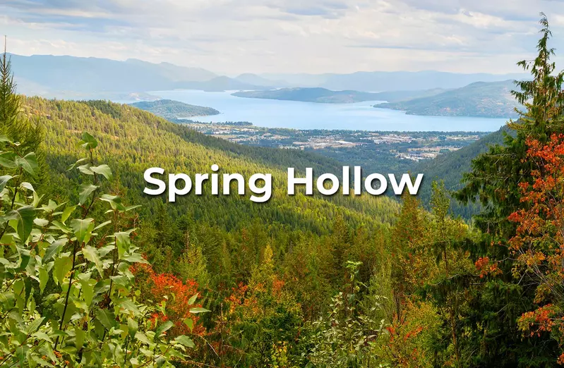 Spring Hollow